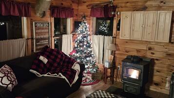 TV connectée, cheminée, livres