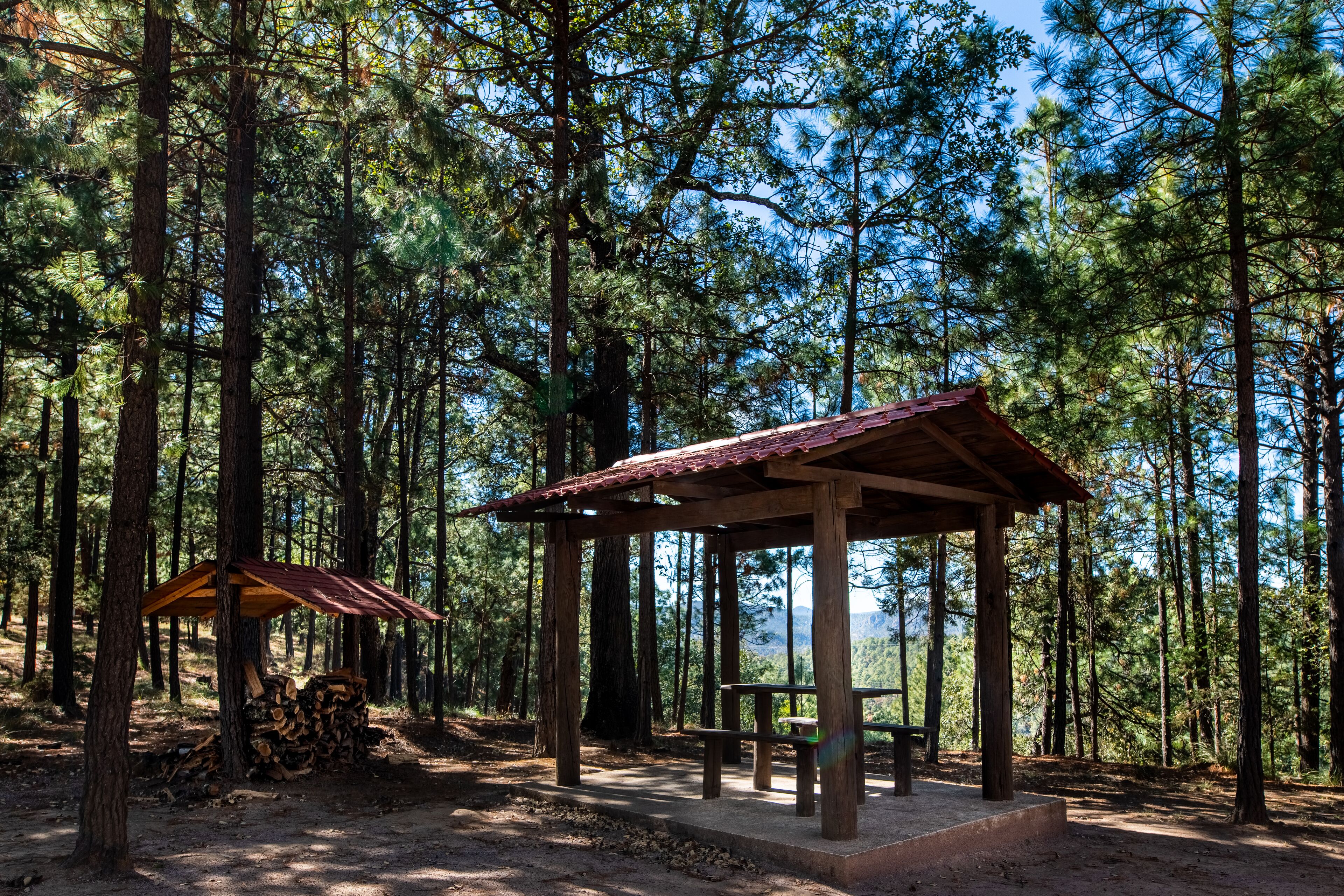 family cabin | view from room