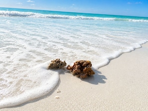 Ein Sandstrand mit zwei Korallenformationen und sanften Wellen.