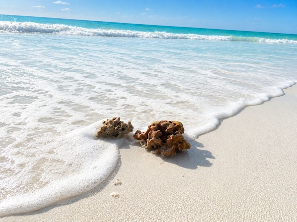 A sandy beach with two coral formations and gentle waves.