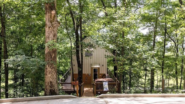 A rustic cabin with a wooden deck and a staircase leading to the entrance. - Blue Heron Treehouse - Private Hot Tub (Guild)