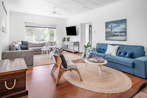 TV, fireplace, Netflix, books