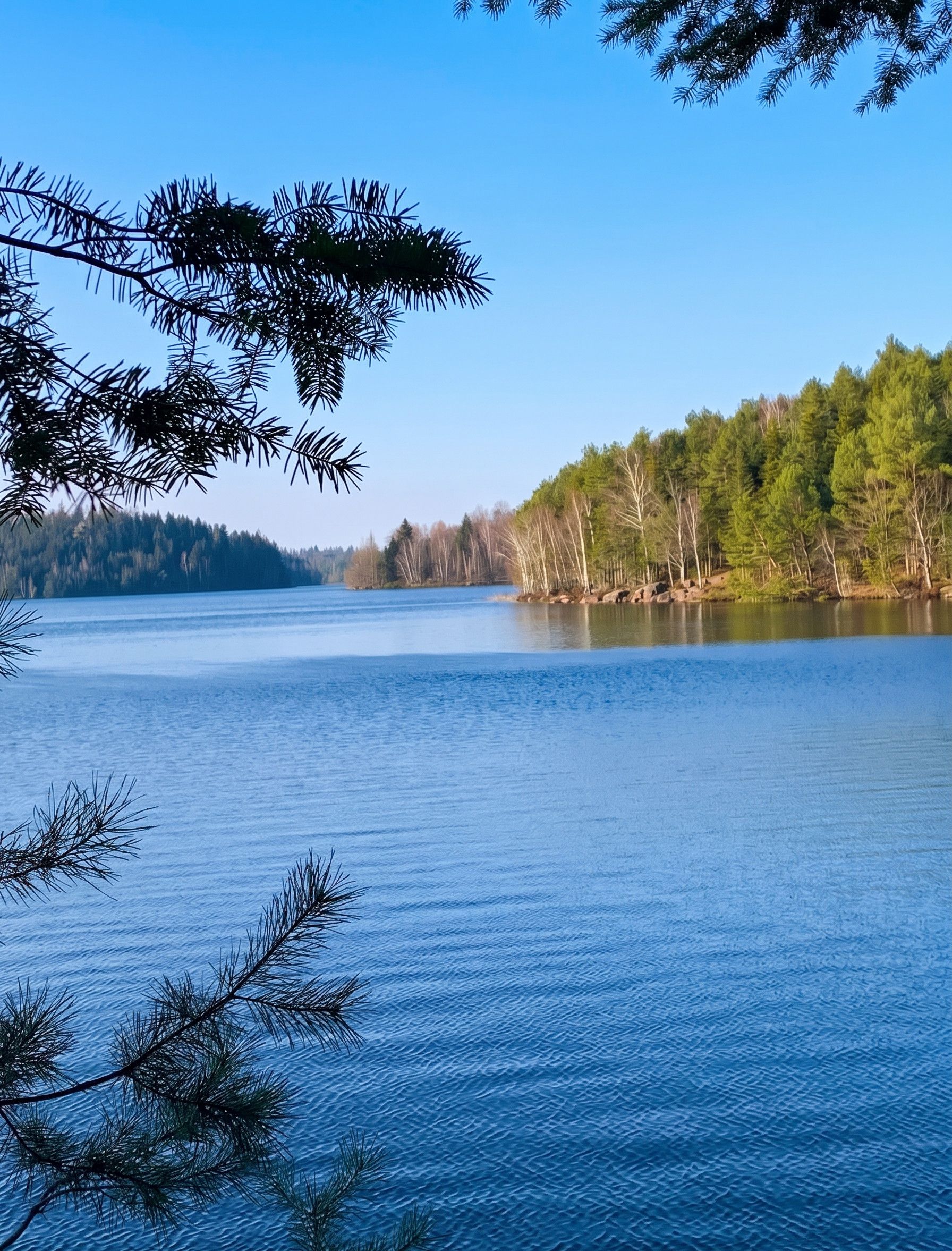 Ein ruhiger See, umgeben von Bäumen.