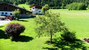 Ländliche Szenerie mit einem Holzhaus und einem weißen Gebäude mit rotem Dach, umgeben von üppigen grünen Feldern und dichten bewaldeten Hügeln.