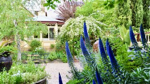 A garden with a variety of plants and a building with a red roof in the background. - The Eaglehawk Country House Hotel Maldon (Maldon)