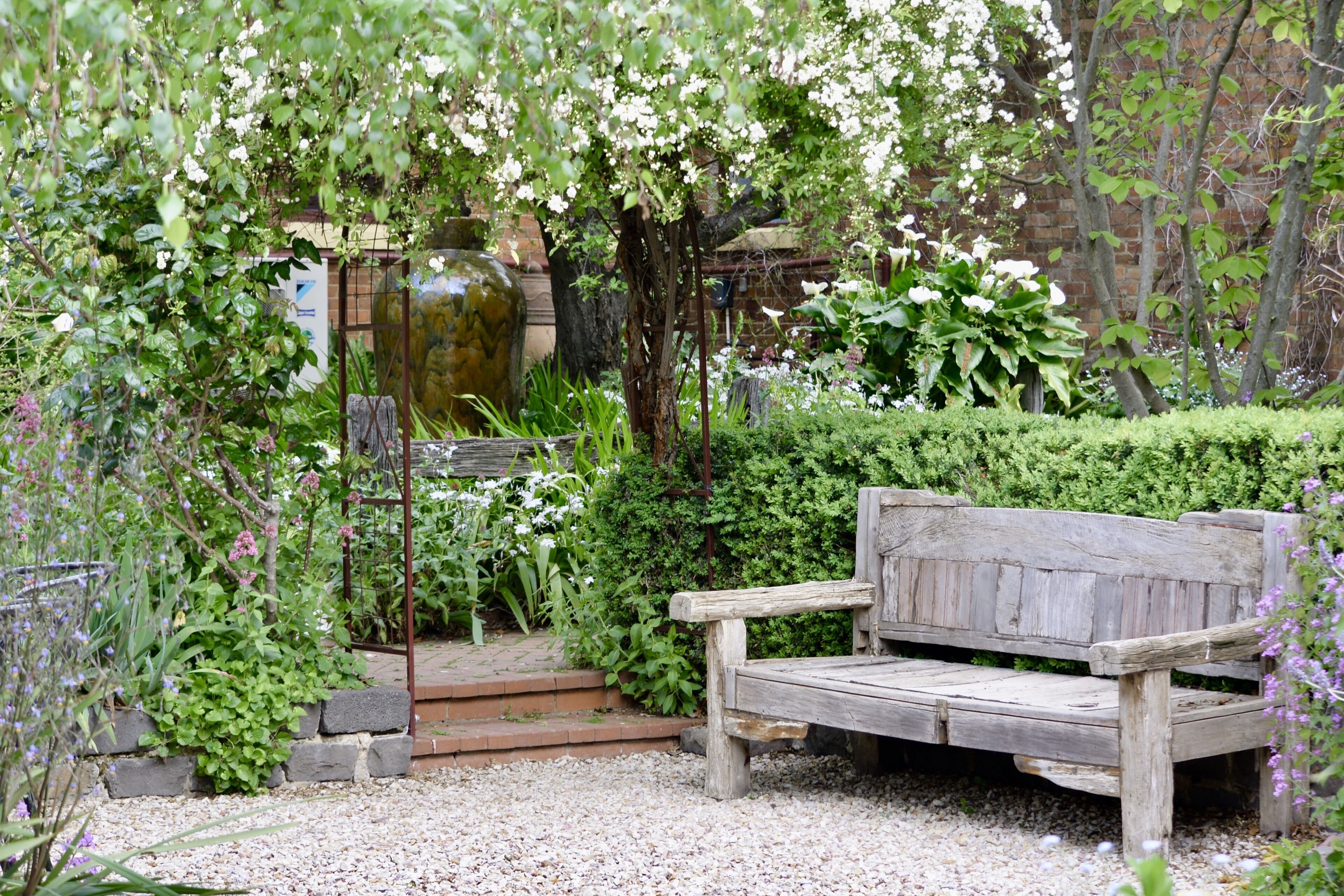 Luxury House | Garden view