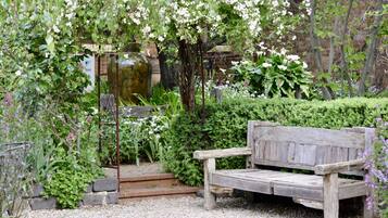 Luxury House | Garden view