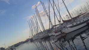 A marina with multiple sailboats docked.