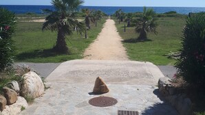 A paved pathway leading to a beach, flanked by palm trees and rocks.