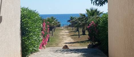 A stone pathway leading to a beach, framed by palm trees and flowering plants.