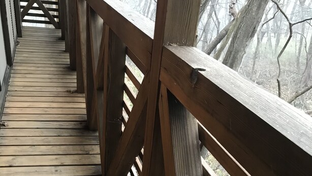 A wooden bridge with railings and a wooden floor, surrounded by trees. - Nasu Holiday (Nasu)