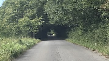 Rumah (Private Vacation Home) | Pemandangan jalan