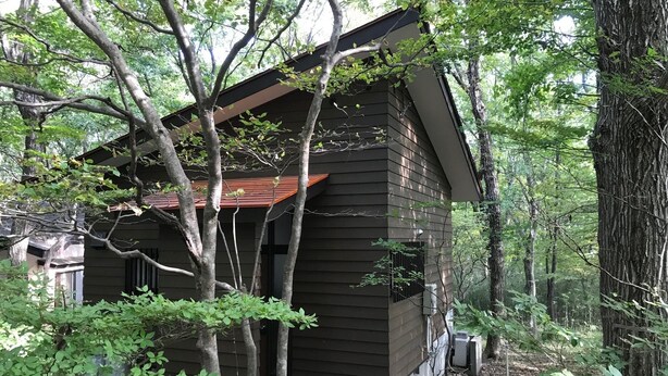 Una cabaña rodeada de un bosque denso, con techo inclinado y revestimiento de madera.
