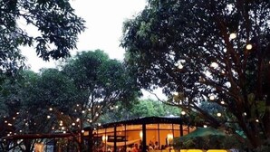 A building with a large illuminated sign reading "MANGO". - Casa Virginia Resort (San Narciso)