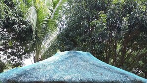 A thatched-roof pavilion with a bench and a small table, surrounded by greenery. - Casa Virginia Resort (San Narciso)