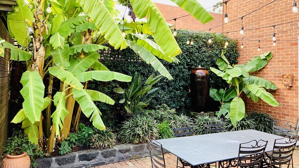Un patio de ladrillo con una mesa y sillas, rodeado de exuberantes plantas de plátano y un muro de ladrillo.
