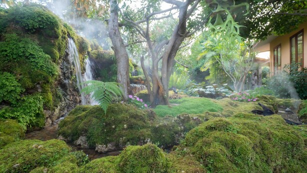 A lush garden with a waterfall, moss-covered rocks, and a variety of plants. - Chiang Mai's Best Garden Paradise Villa, A/C, Free Breakfast, Pool, Rental Van (Nam Phrae)