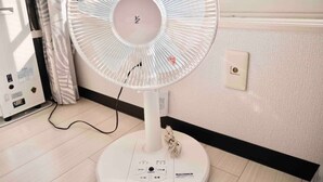 Unclassified image, 4 of 13, button - [206] Maison Junu D 206 (Sapporo)