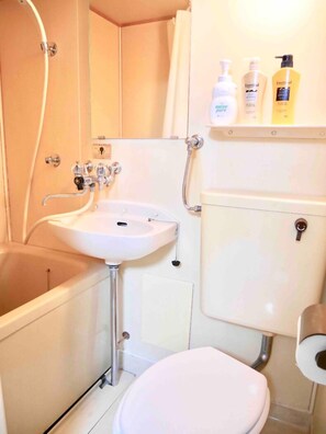 Appartement | Salle de bain | Ensemble douche/baignoire, articles de toilette gratuits, sèche-cheveux