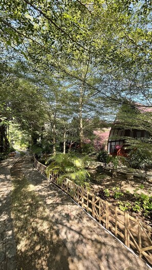 Garden view