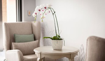 Sala de estar en el lobby