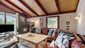 Télévision, cheminée, lecteur de DVD