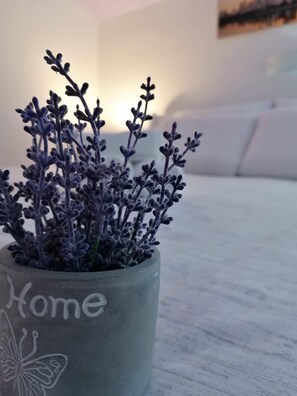 A potted plant with 'Home' and a butterfly design on the pot, placed on a wooden surface. - Guest House Macic (Plitvicka Jezera)