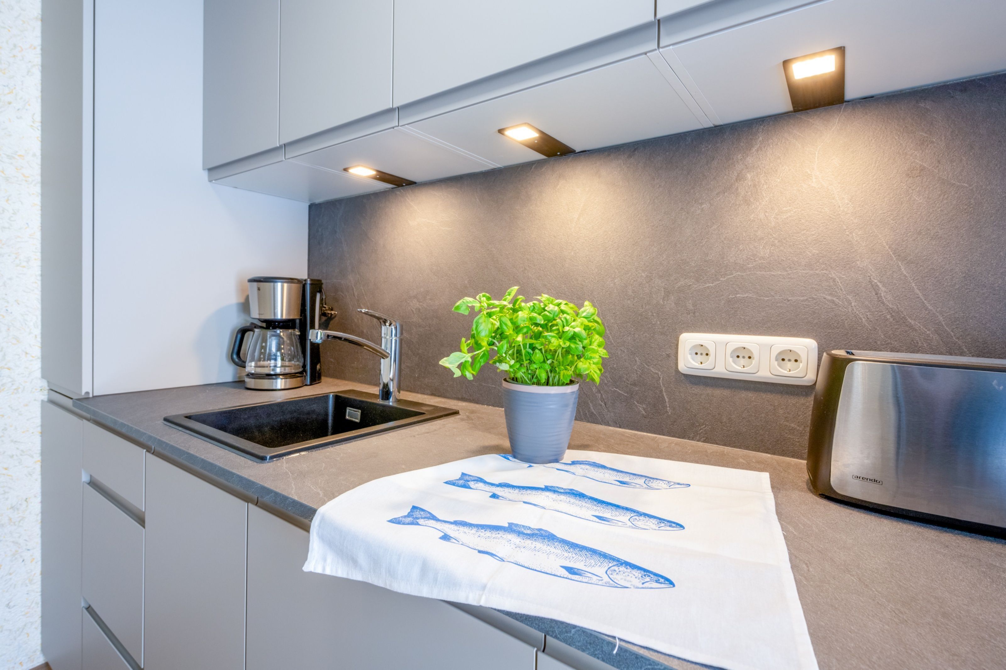 Une cuisine moderne dotée d’un plan de travail en granit, d’appareils électroménagers en acier inoxydable, d’une plante en pot et d’un torchon orné de motifs de poissons.