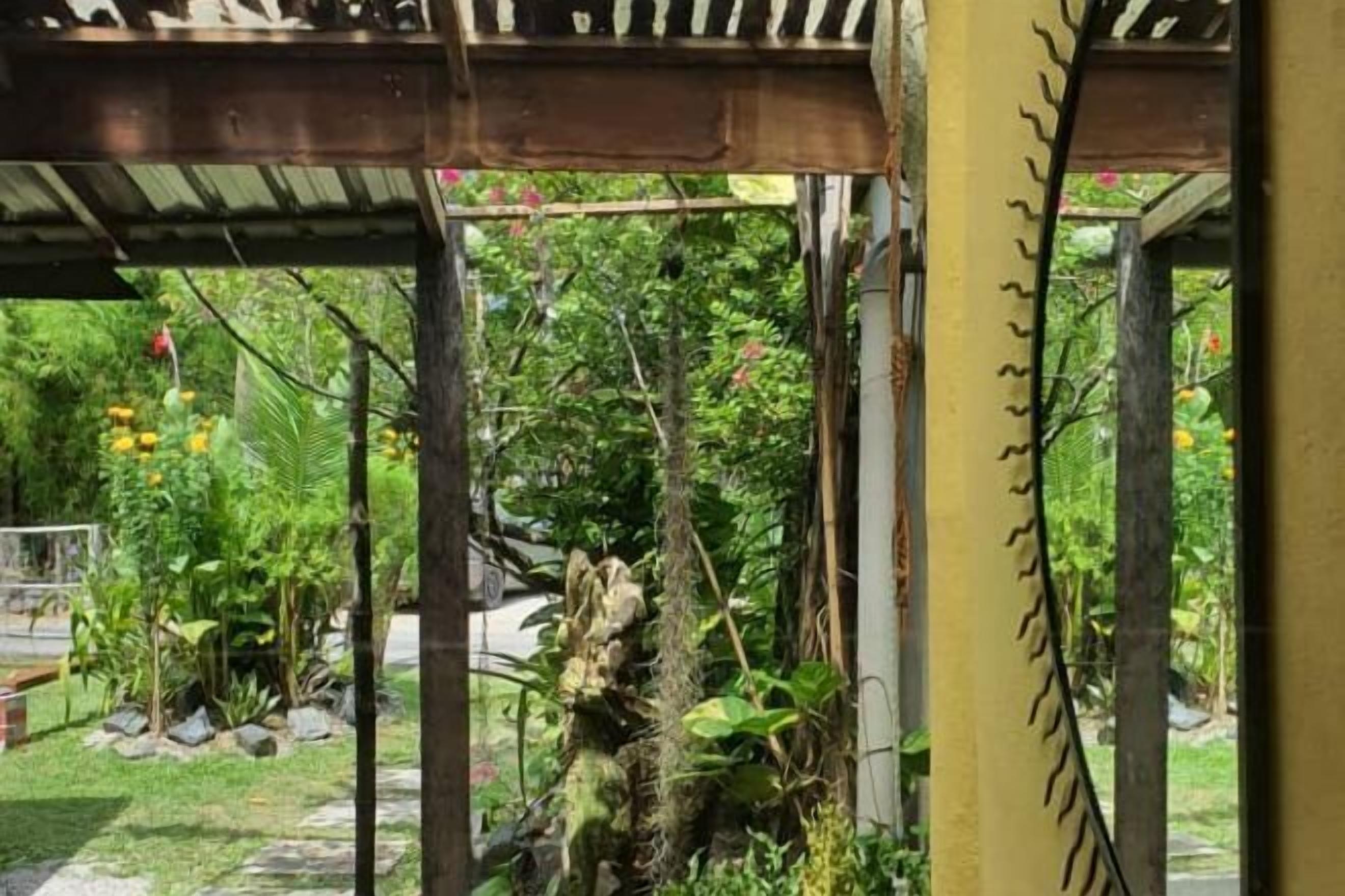 Foto - The Cottage Langkawi