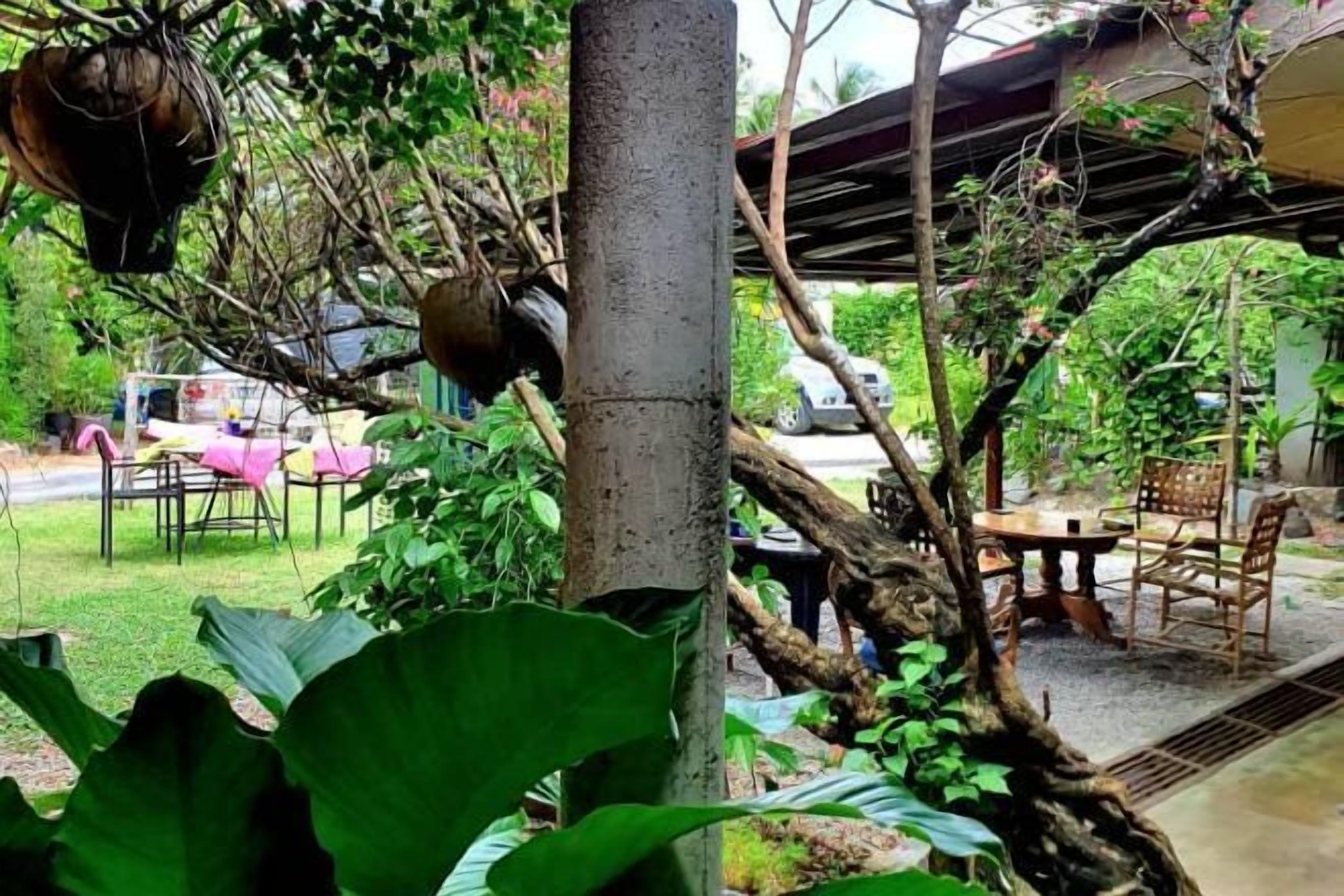 Foto - The Cottage Langkawi