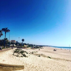 Playa en los alrededores y camastros 