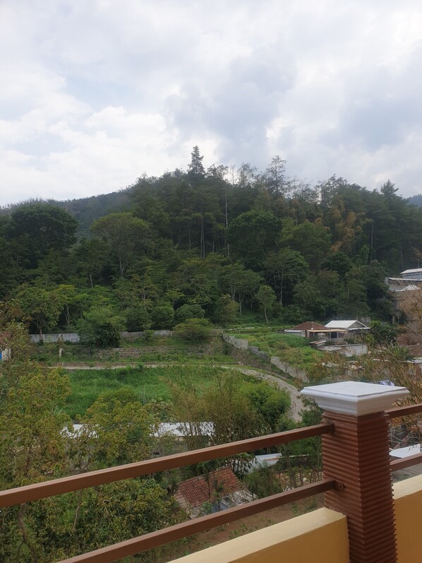 Chambre Standard | Vue sur les montagnes