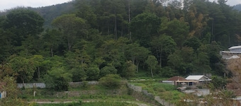 Villa Bugenville Songgoriti