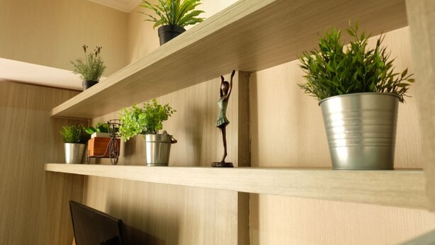 A room with wooden shelving holding various potted plants.