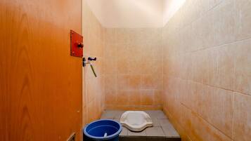 Shower, free toiletries, towels