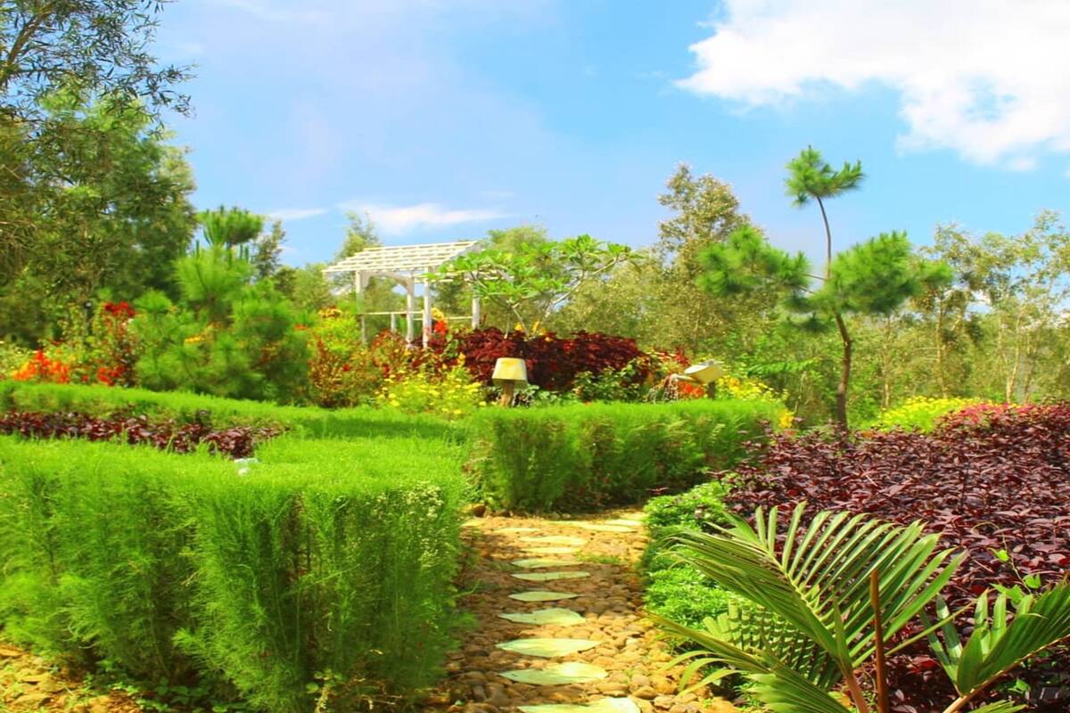 A garden with a stone pathway leading to a gazebo.