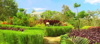 Bukit Lintang Sewu Domping