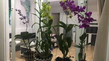 Family Apartment | Courtyard view