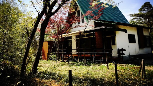 Una casa con techo verde, rodeada de árboles y una valla.