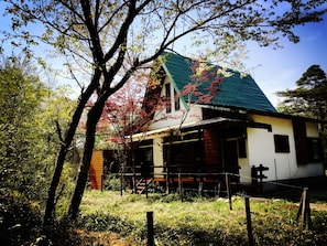 A house with a green roof, surrounded by trees and a fence.