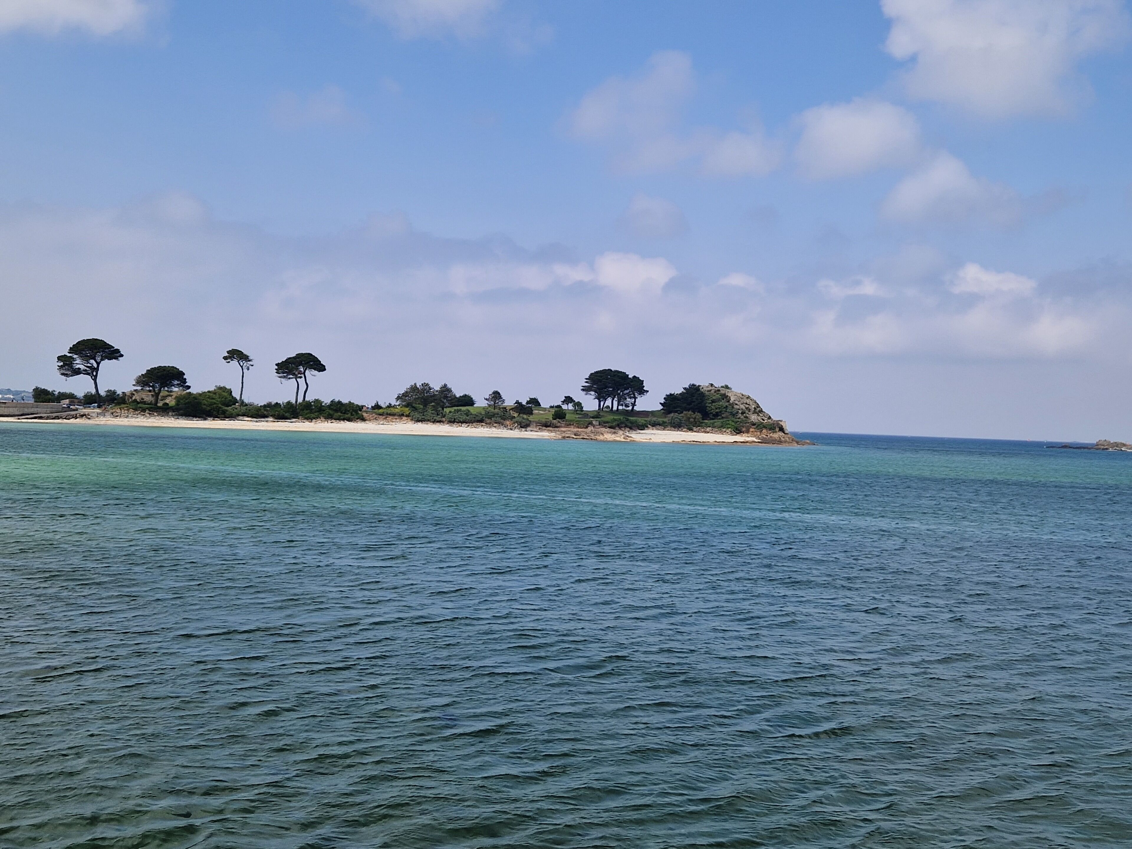 A coastal landscape with a sandy beach and a row of trees.