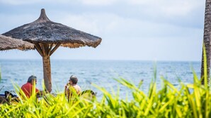 Escena de playa con una sombrilla de techo de paja, palmeras y el océano al fondo.