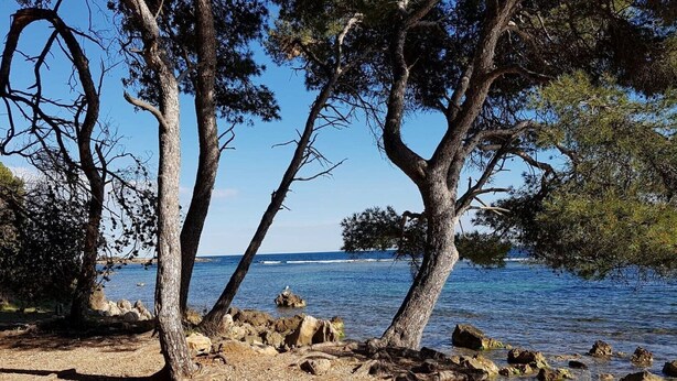 Eine felsige Küstenlinie mit Bäumen und freiem Blick auf das Meer.