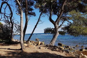 A rocky shoreline with trees and a clear view of the sea.