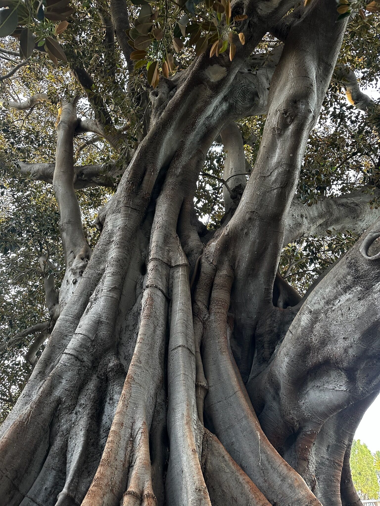 Photo - Palacete de La Alameda - Adults Only-