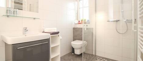 A modern bathroom with a glass shower enclosure, a white sink, and a toilet.