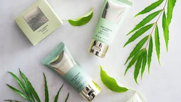 A set of skincare products arranged on a marble surface with green leaves.