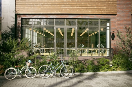 Bicycling. Nikko Style Nagoya