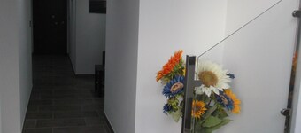 Hostal Maria Jose