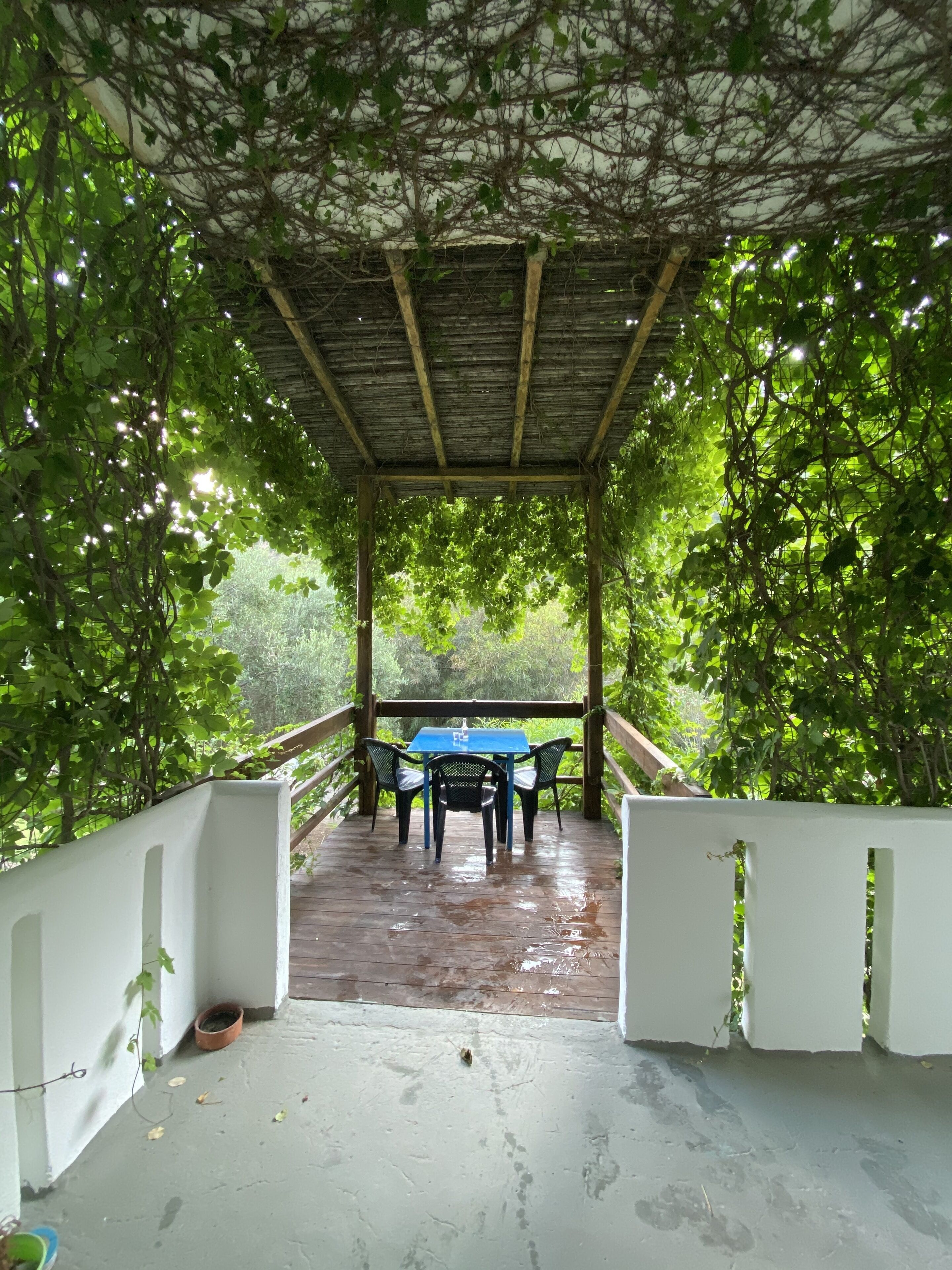 A covered outdoor seating area with a table and chairs, surrounded by lush greenery.
